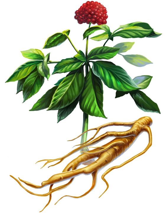 طاقت کے لئے ginseng